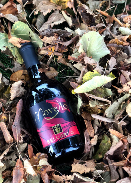Tenuta Belcorvo Vino Novello Veneto IGT 2025